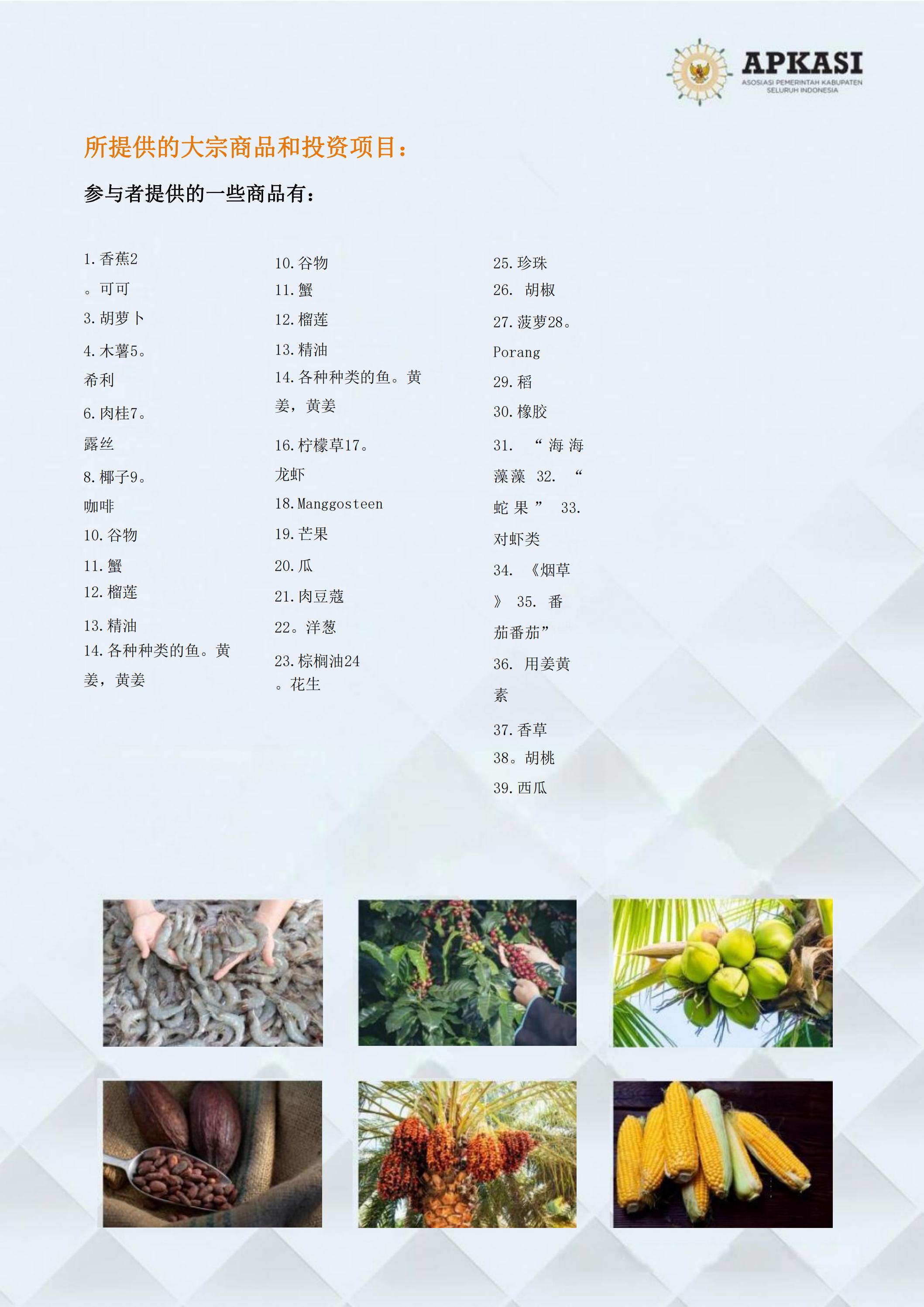 邀請參加2024印度尼西亞雅加達(dá)世博會通知_06.jpg